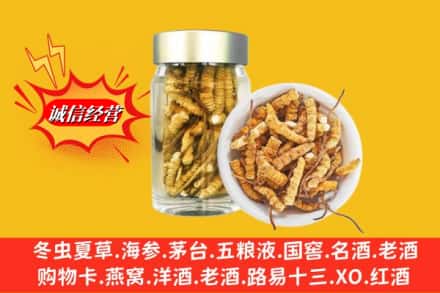 九江彭泽县回收散虫草